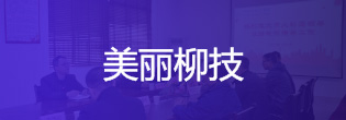 美丽柳技