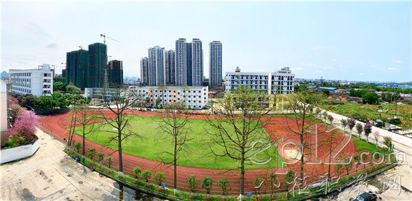 图片21 图片21